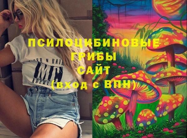 спиды Алексеевка