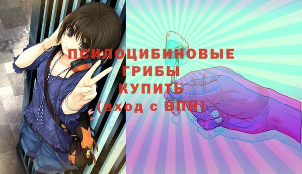 МДПВ Алзамай
